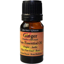 Essential oil Ginger Essential oil Ginger